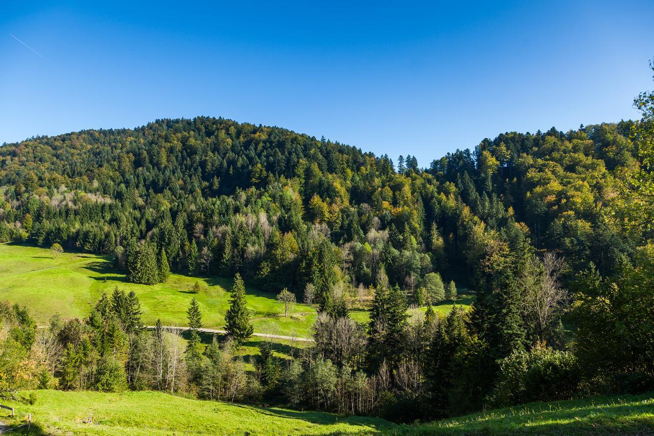Hotel Bad Rain Mit Oberstaufen Plusgolf Dış mekan fotoğraf